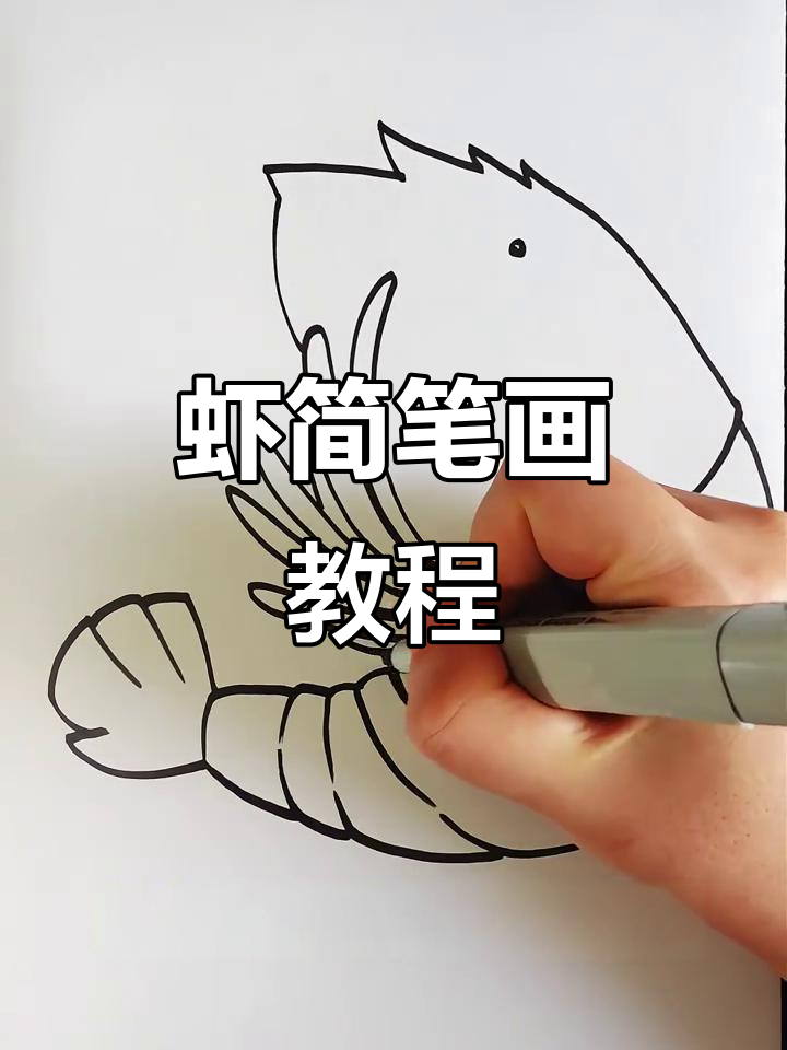 虾的简单画法,适合手抄报、手工和儿童插画