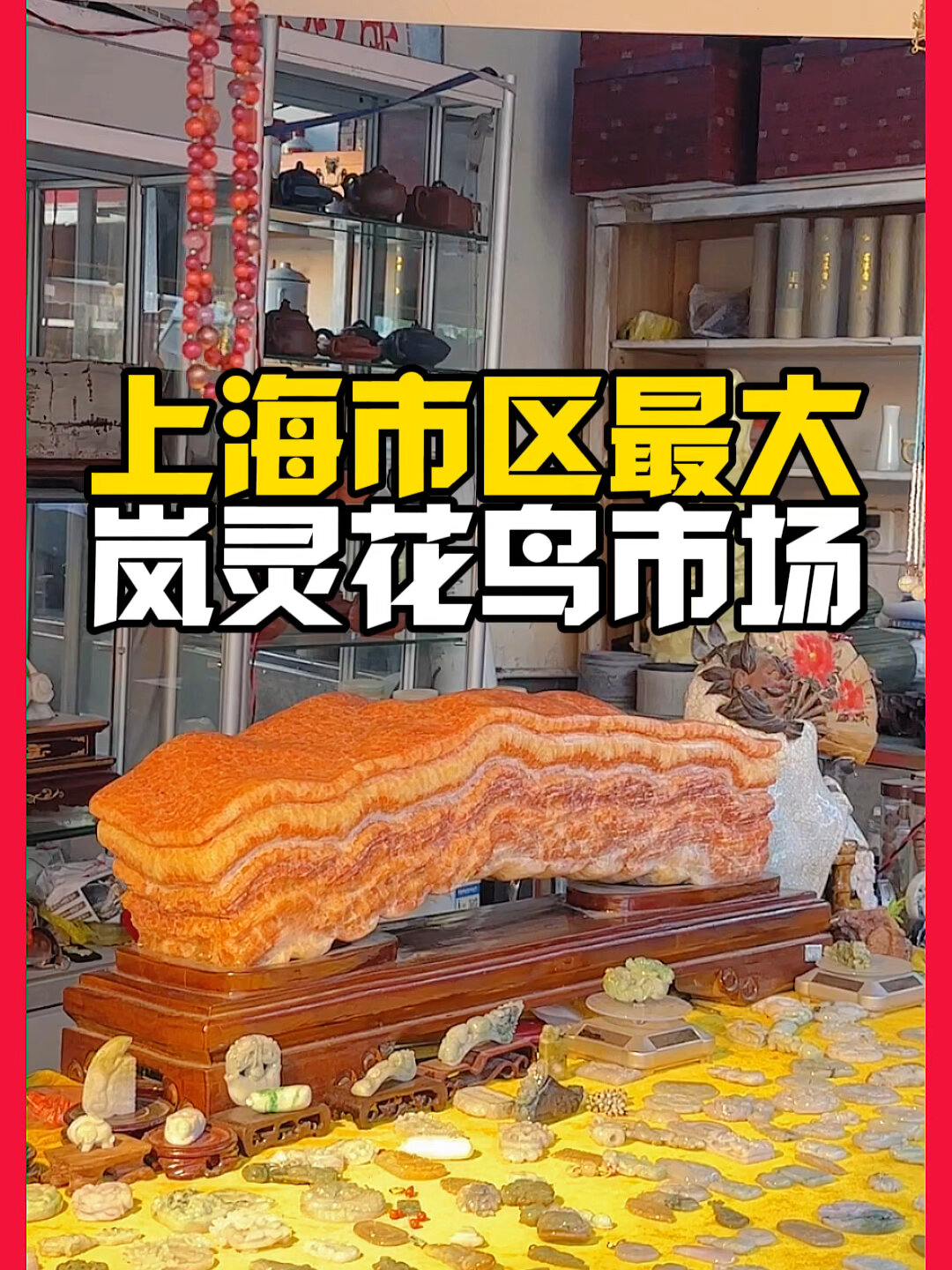 上海市区仅存,也是最大的花鸟市场!很好逛!