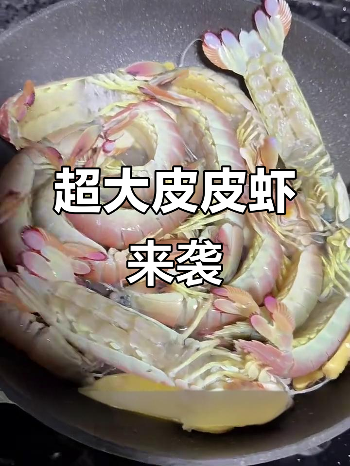 皮皮虾天花板,超大只超鲜美!
