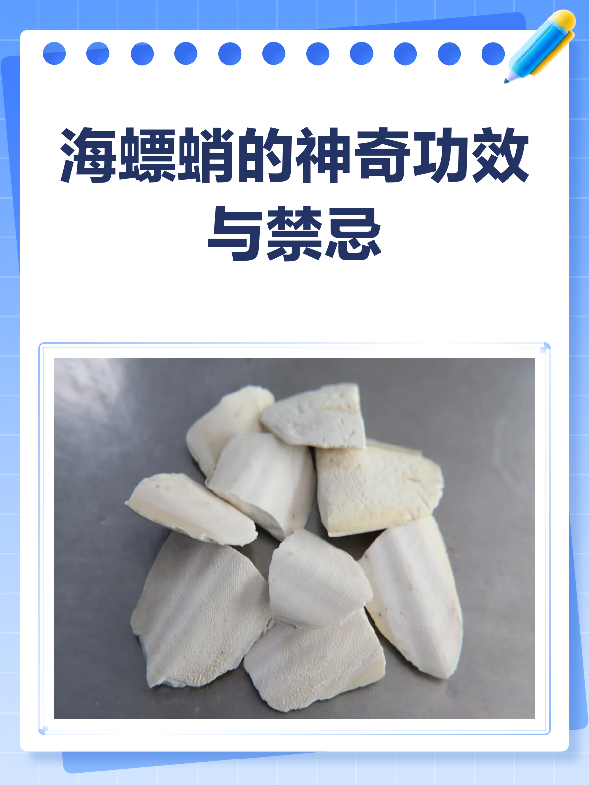 海螵蛸:乌贼骨里的止血固精秘籍