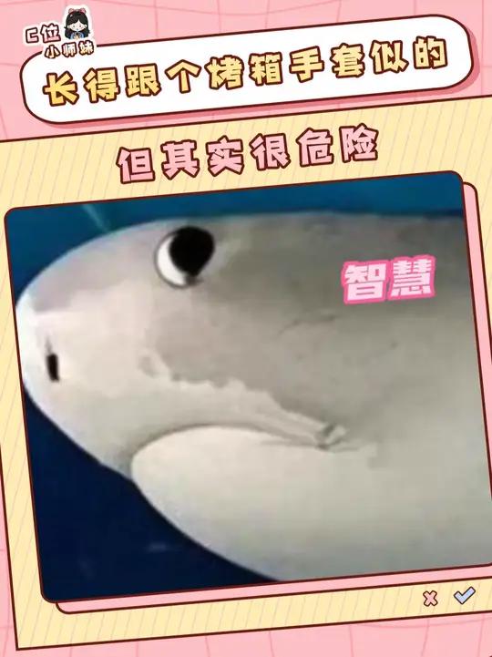 这个略显智慧的手套确实是凶兽……