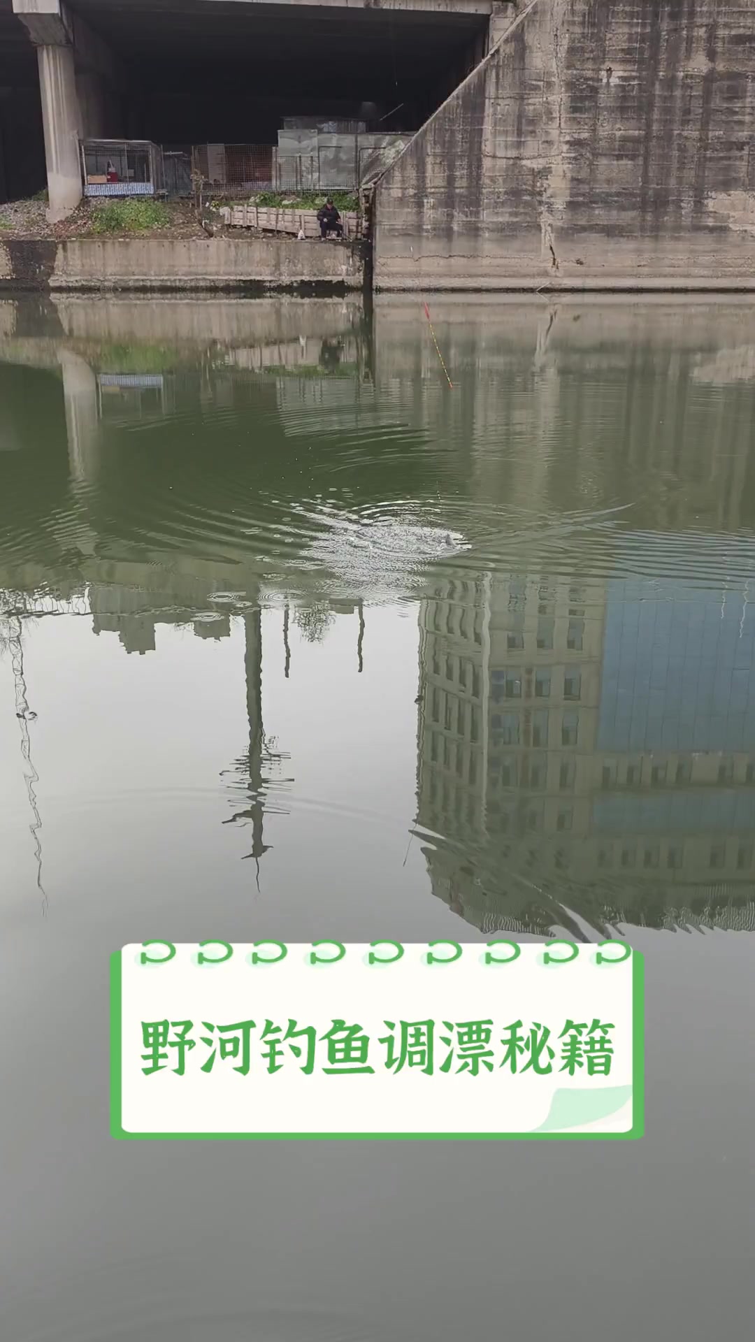 野河钓鱼调漂秘籍