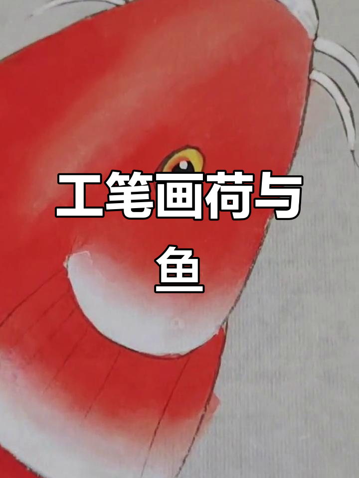 荷花盛开,鱼儿游动,国画工笔展现鸿运当头