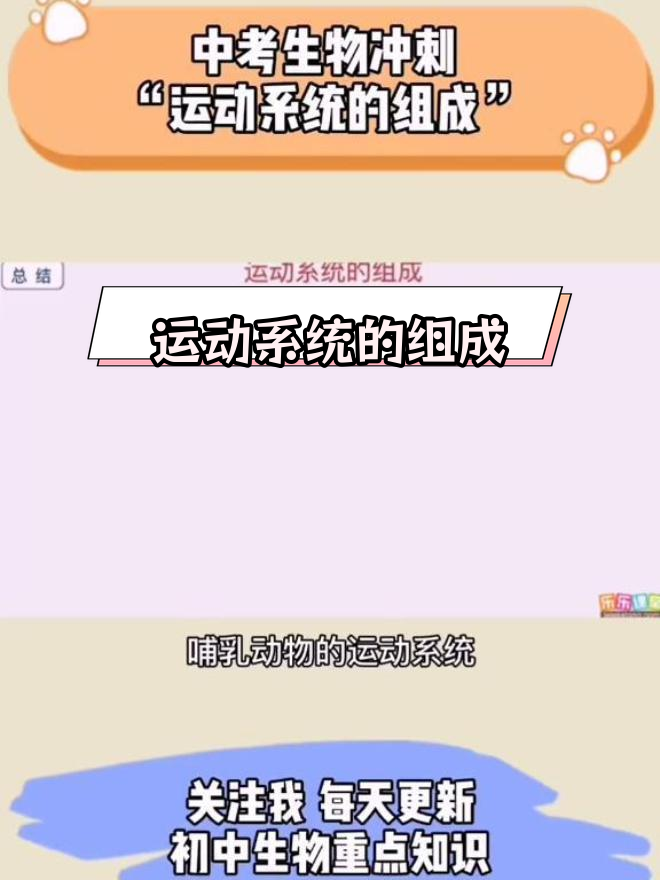 哺乳动物运动系统解析:骨骼与肌肉的作用