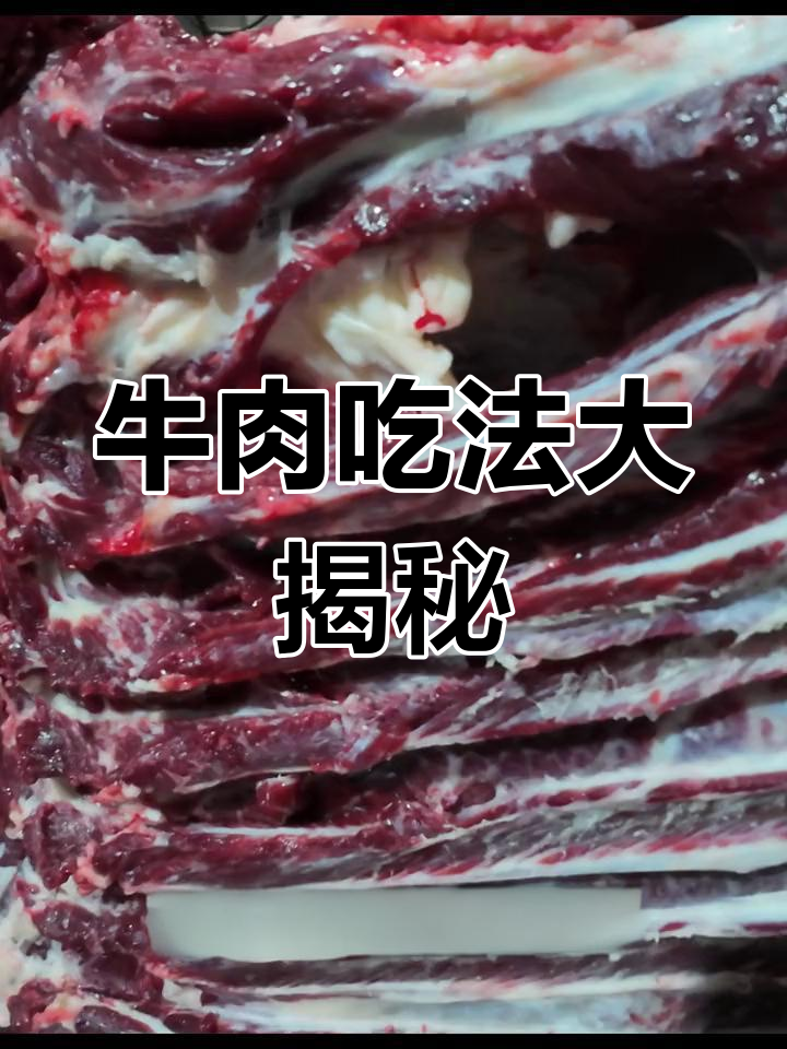 牛肉各部位口感与做法解析