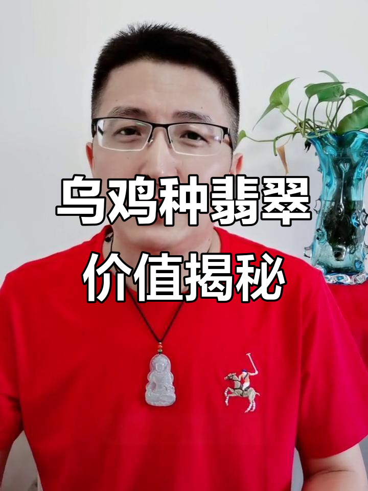 乌鸡种翡翠的价值，从无人问津到热销的转变