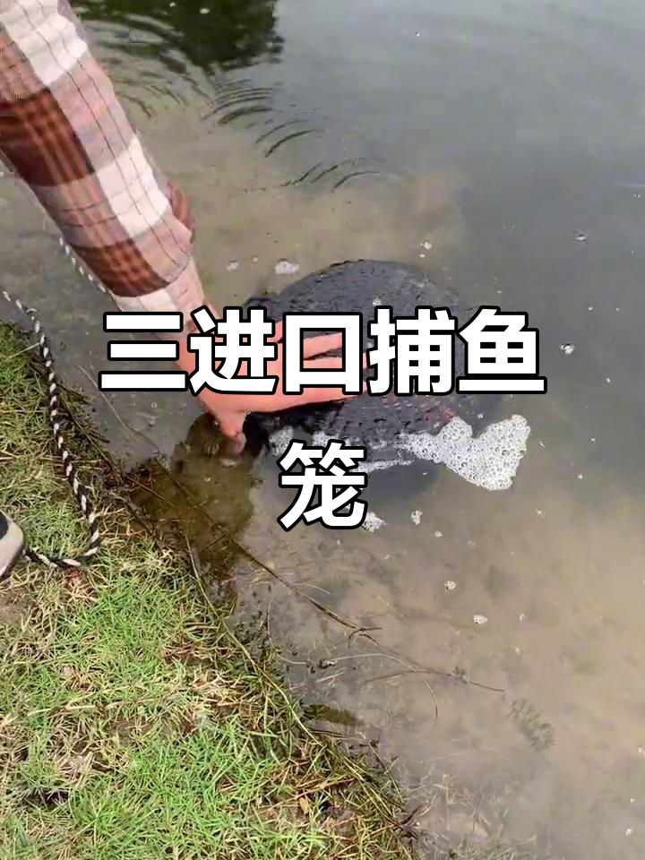 捕鱼笼设计巧妙,诱饵放进去就能抓黄鳝泥鳅