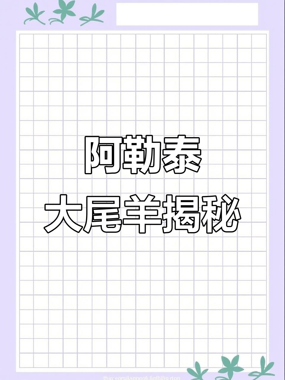 阿勒泰大尾羊:行走的羊肉串,脂肪占六分之一的美味传奇