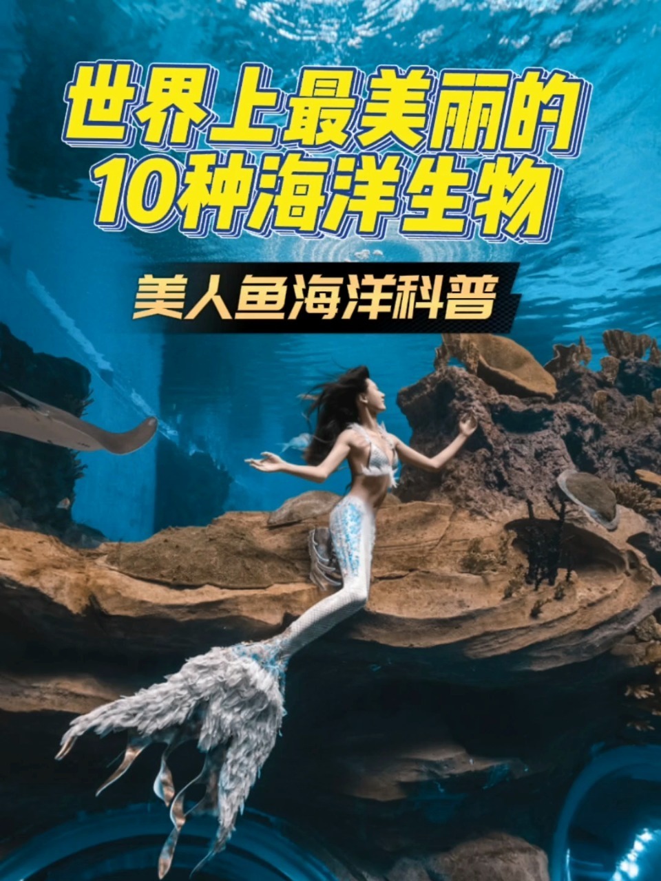 你见过世界上最美丽的10种海洋生物吗?