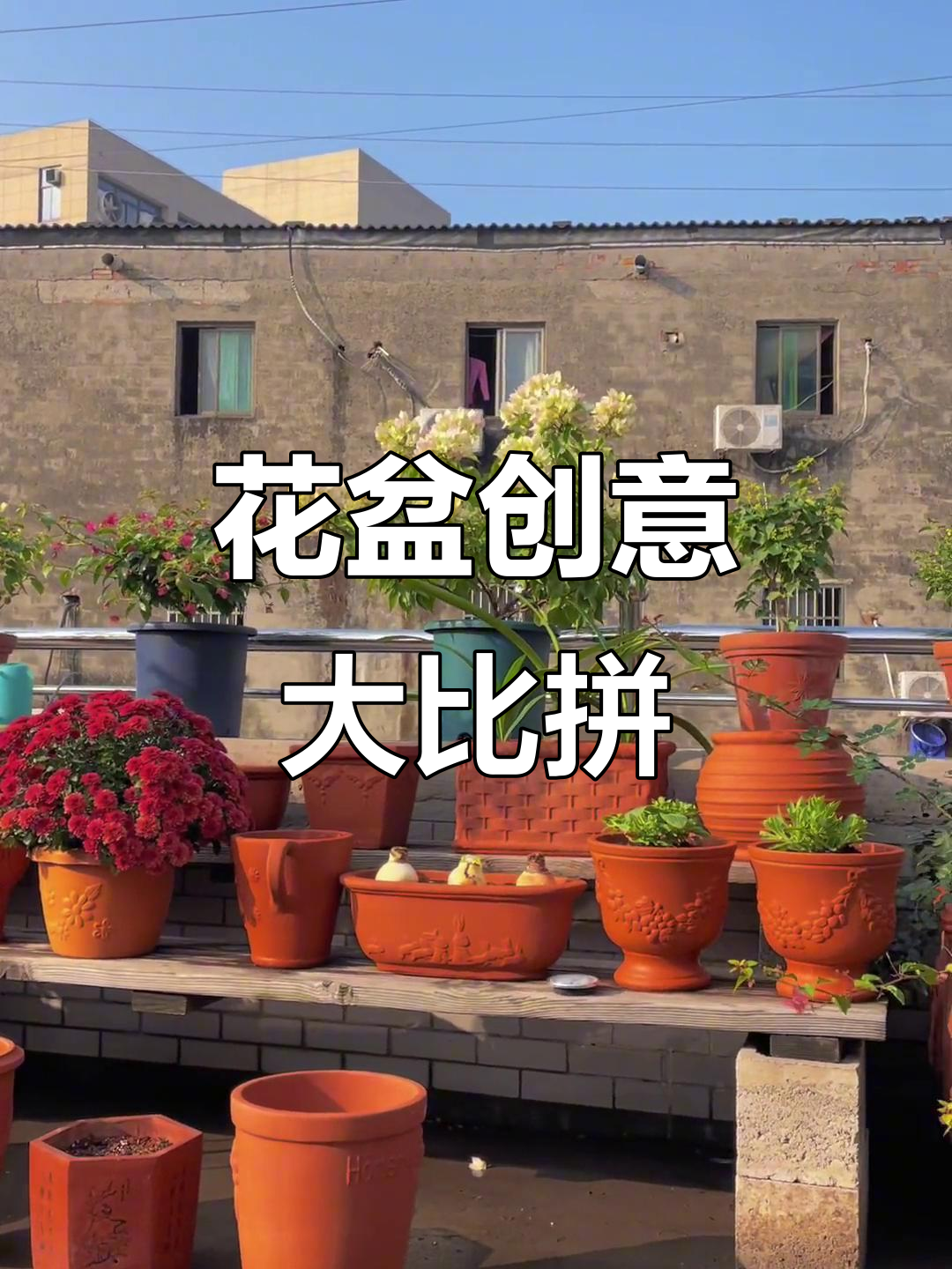 你们喜欢花盆,我分享个超奇葩的:八宝粥罐变花盆!