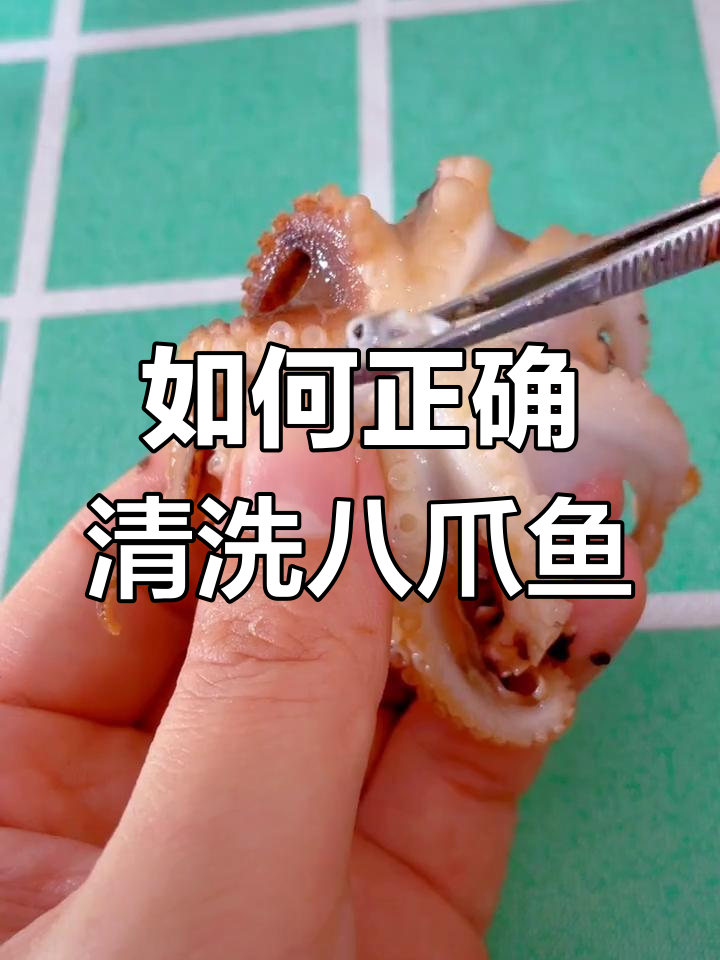 八爪鱼最正确的吃法,教你如何处理内脏和牙齿