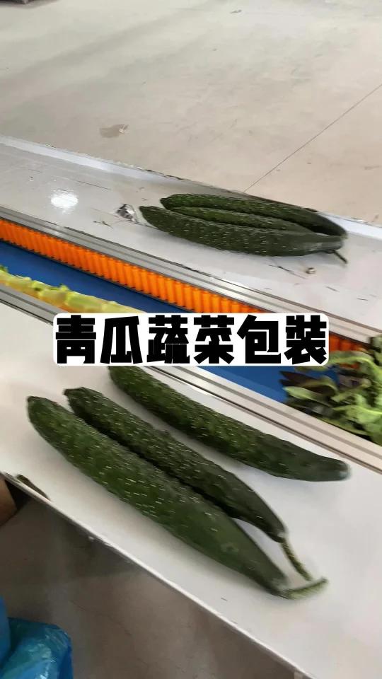 蔬菜青瓜打包套袋机 自动检测长短制袋封口