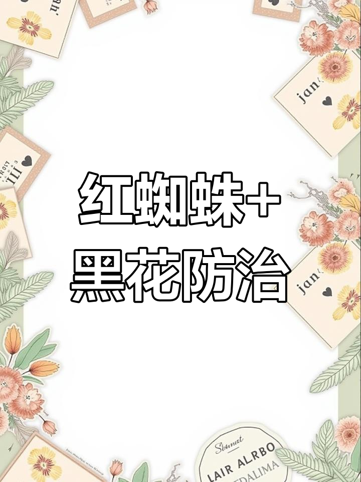 冬季红蜘蛛与烟煤病防治方案
