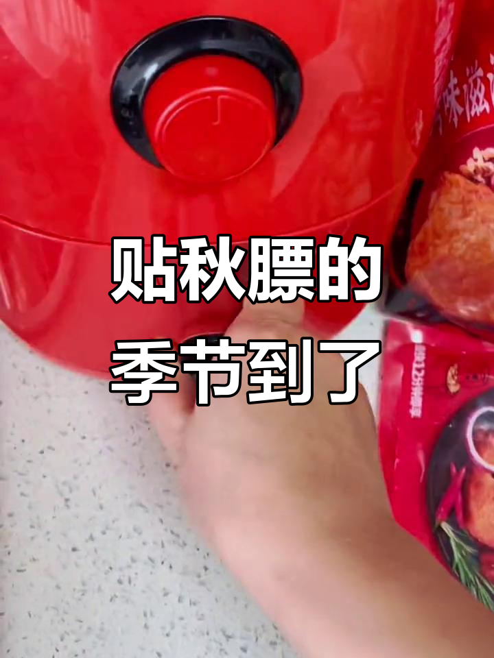 夏肥还没减,秋膘又来了!空气炸锅鸡腿鸡翅太香了