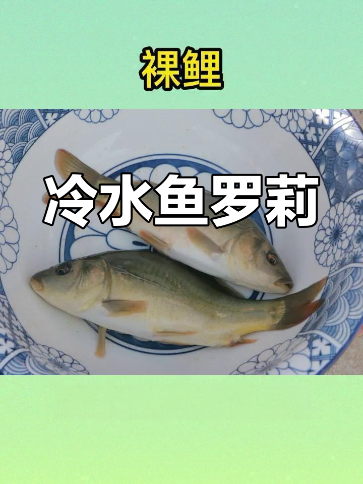 裸鲤鱼苗批发与养殖环境
