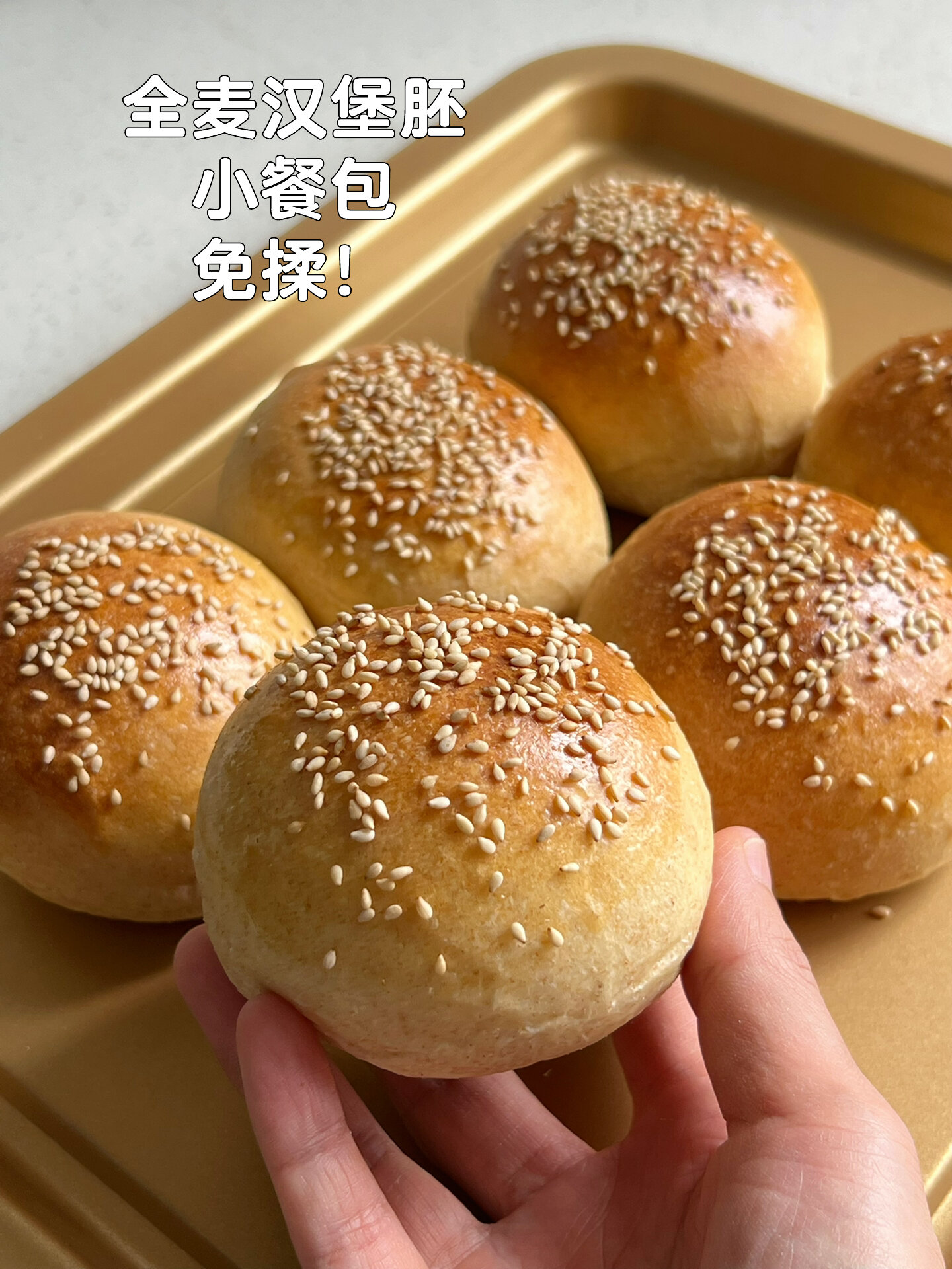 全麦汉堡胚|小餐包|免揉!