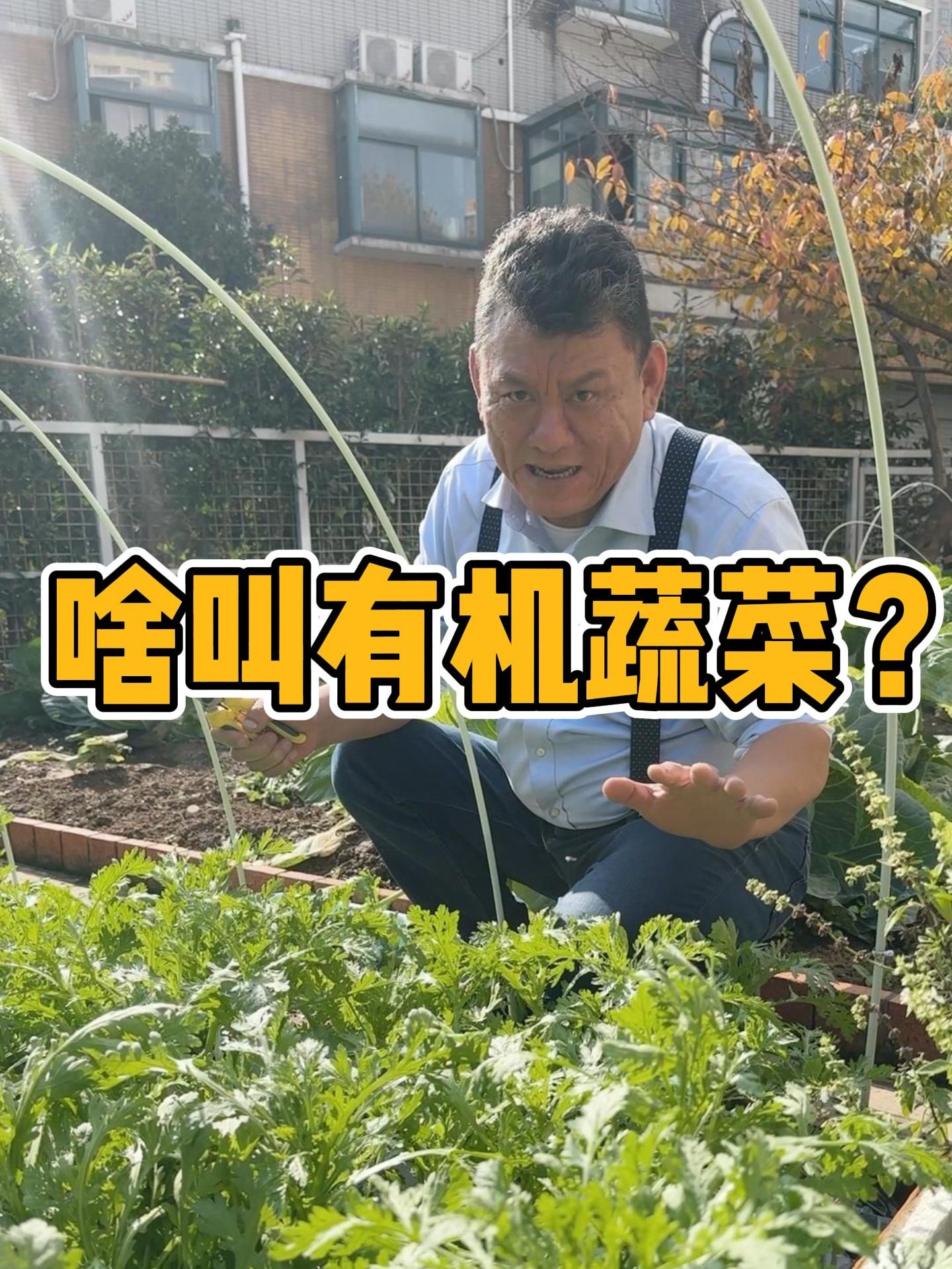 啥叫有机蔬菜?