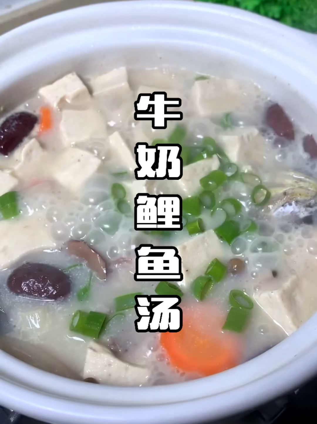 这么白的牛奶鲤鱼汤你会做吗?简单又营养