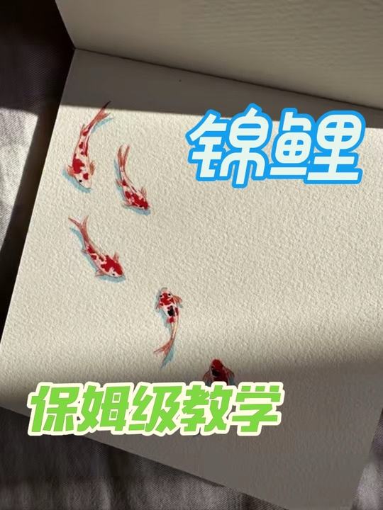 丙烯马克笔锦鲤保姆级教程