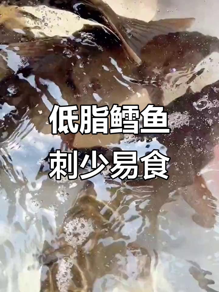 鳕鱼肉质鲜嫩，低脂肪高蛋白，老少皆宜的健康选择