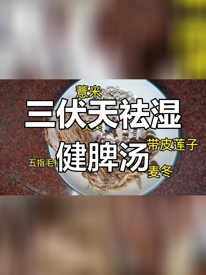 广东妈妈三伏天煲五指毛桃汤,搭配饺子美味又养生