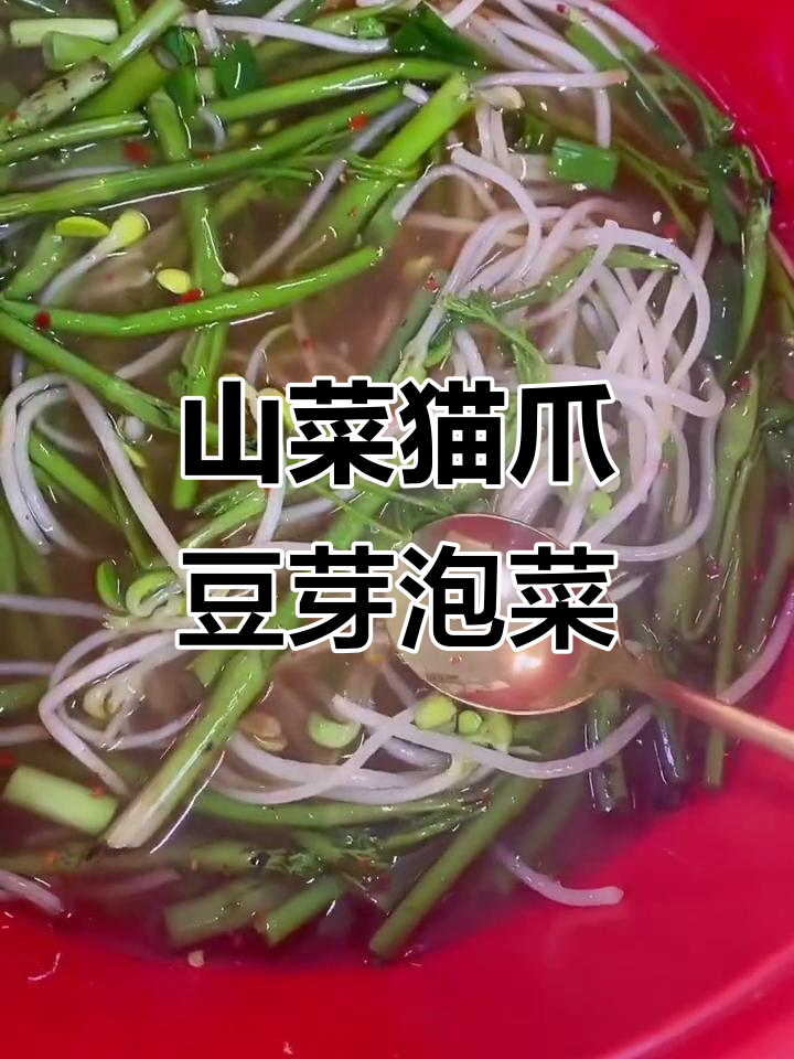 东北山菜猫爪子黄豆芽泡菜,简单又美味