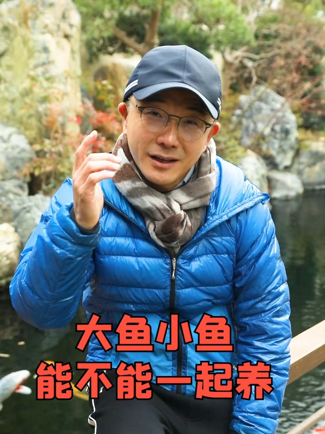 大鱼小鱼能不能一起养?来看看迪哥怎么说!