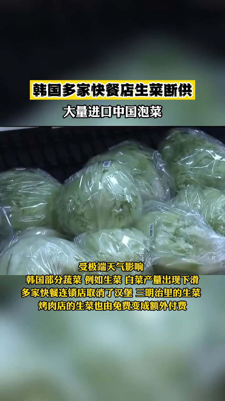 韩国多家快餐店生菜断供,大量进口中国泡菜