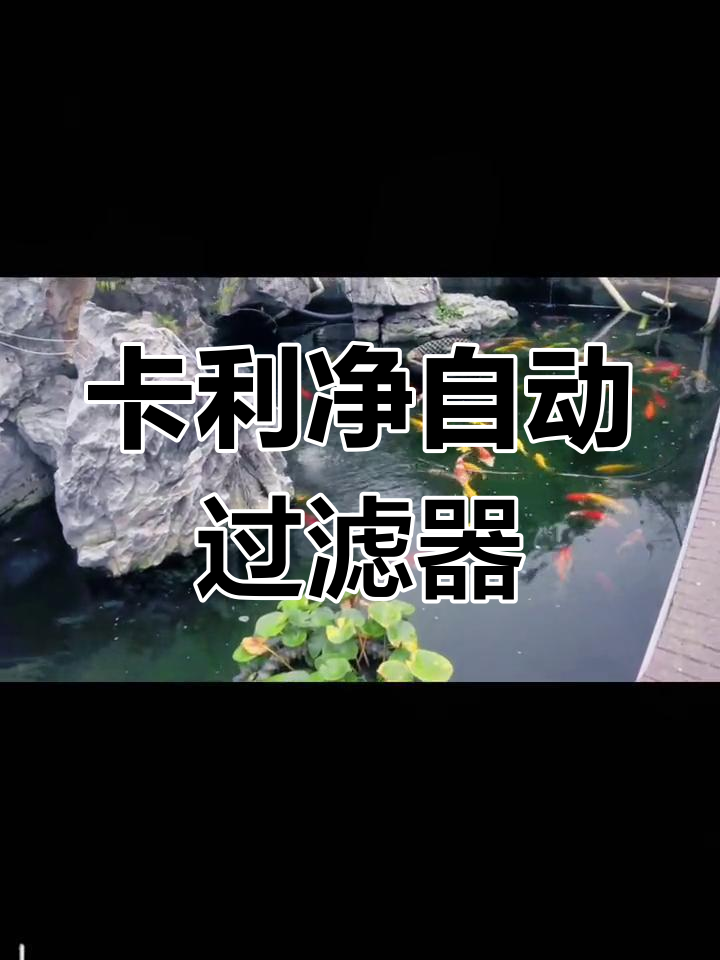 鱼池过滤选卡利净,全自动转鼓超滤机让水质更清澈