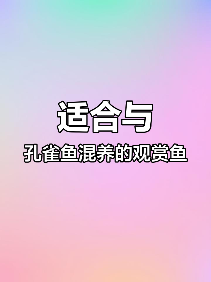 黄金大胡子:孔雀鱼繁殖缸的最佳混养选择