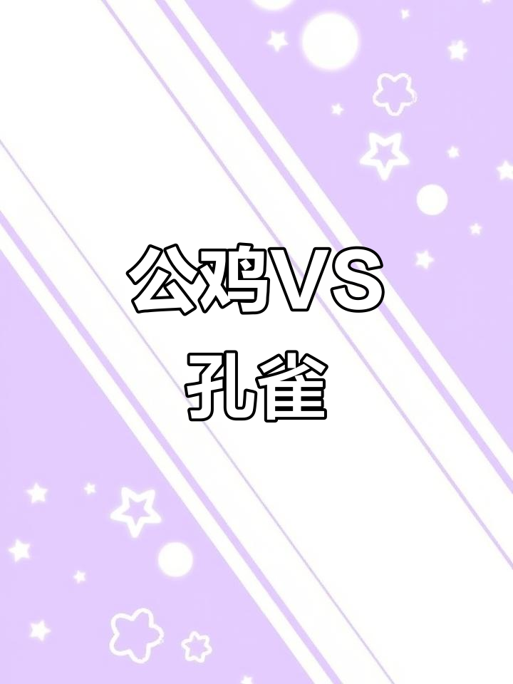 火鸡挑战孔雀,结果惨败而逃,场面惊险又搞笑