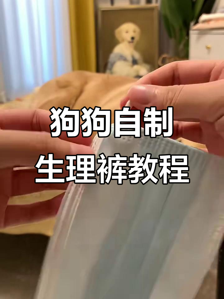 用口罩做狗狗生理裤,简单又好用!