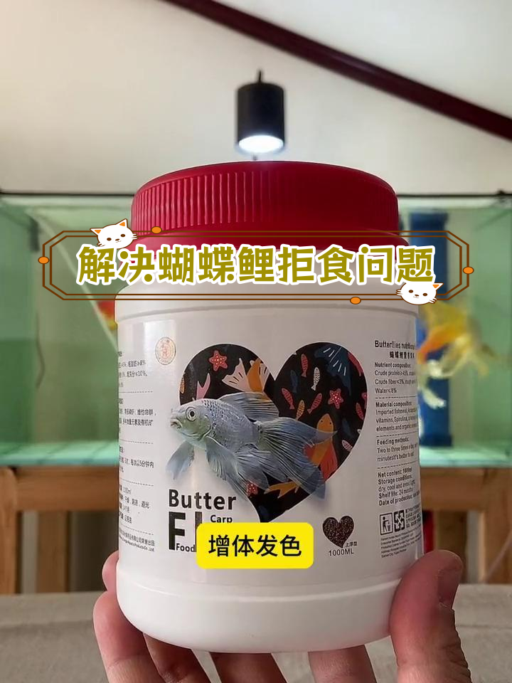 蝴蝶鲤不吃饲料?教你轻松解决