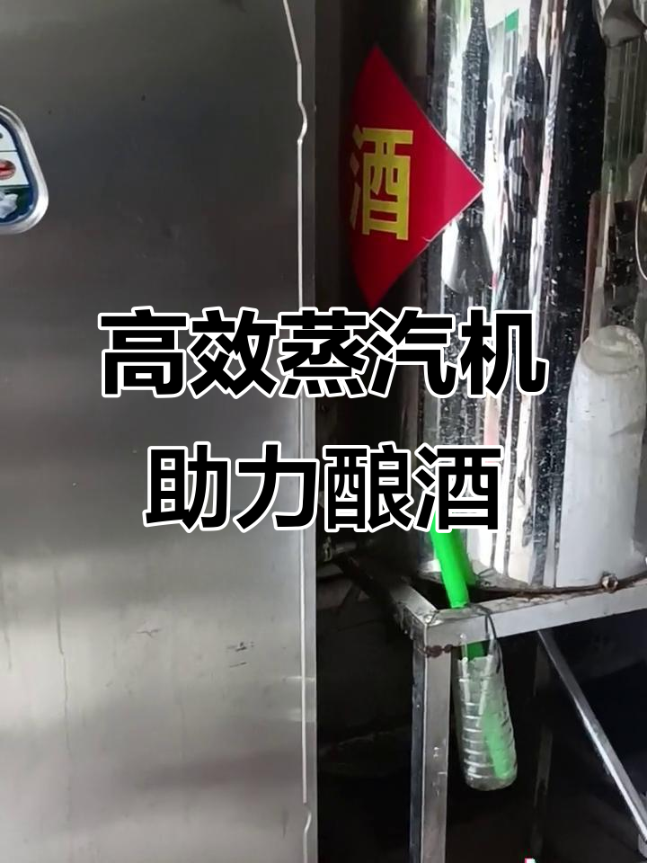 蒸粮酿酒必备蒸汽机,轻松搞定煮饭与发酵