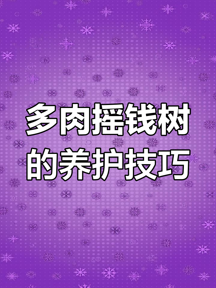 摇钱树养护全攻略:如何让多肉植物健康茁壮
