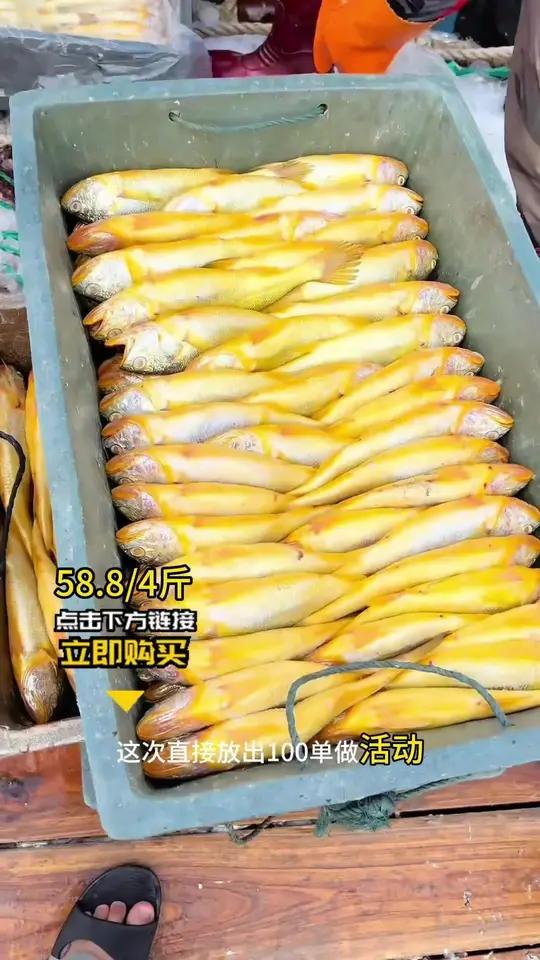 现捕现称不耍滑!4 斤硬邦邦的分量,够全家吃两顿!58.8 块钱,买条冻鱼都未必够,现在能