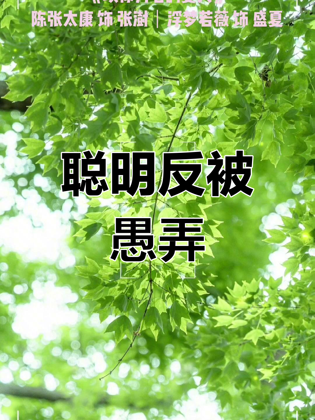 乌鸡鲅鱼?别拿这个来逗我们,盛夏可没那么好骗!