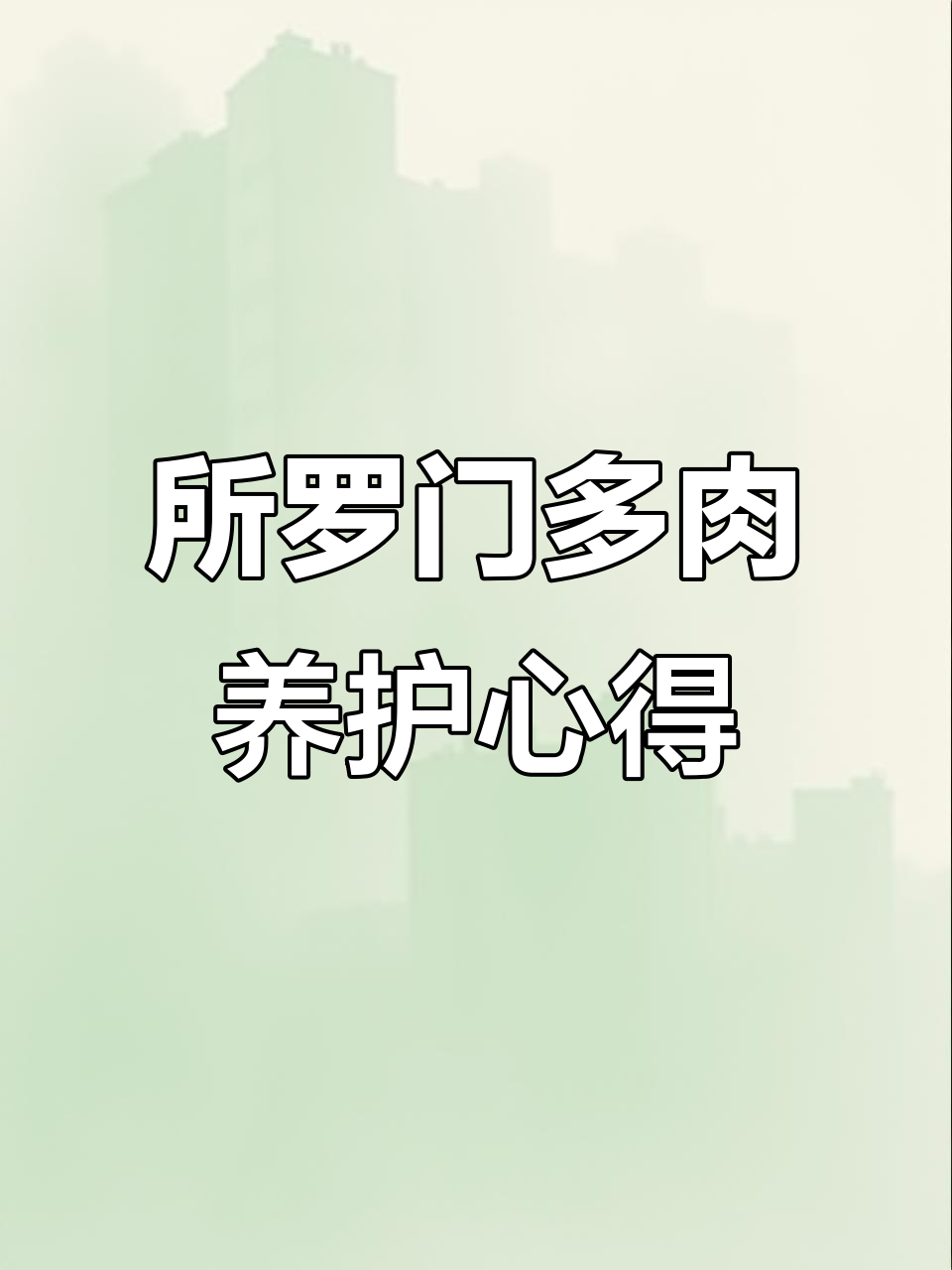 露养所罗门多肉，轻松搞定！