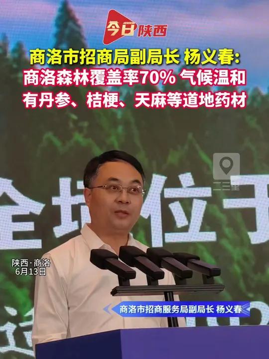 商洛森林覆盖率达70 %,阳光充裕,气候温和,生长有丹参、桔梗、天麻等大宗道地药材。(编辑