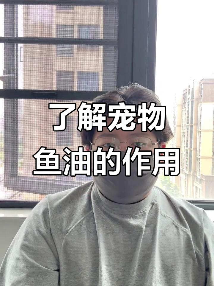 鱼油到底能美毛还是保护健康?揭秘宠物鱼油的真正作用