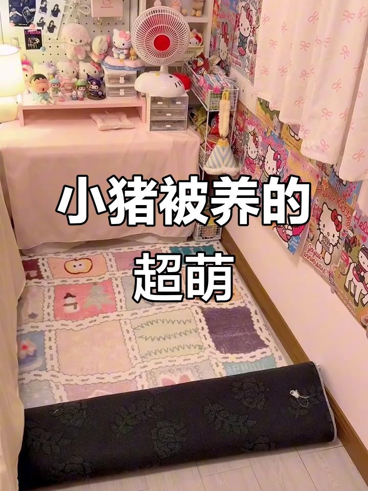 妈咪养的小猪,圆嘟嘟的可爱极了!