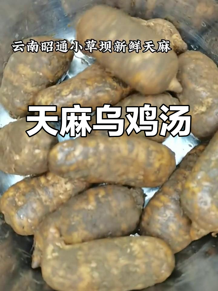 云南昭通天麻炖乌鸡,滋补又美味