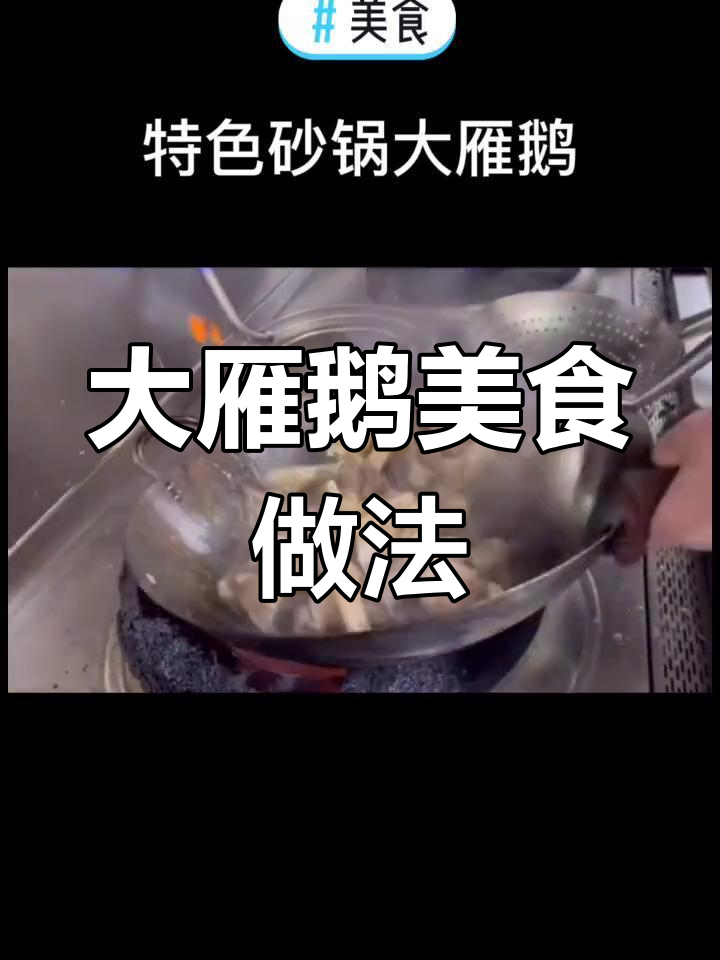 砂锅大雁鹅,创意美味教程