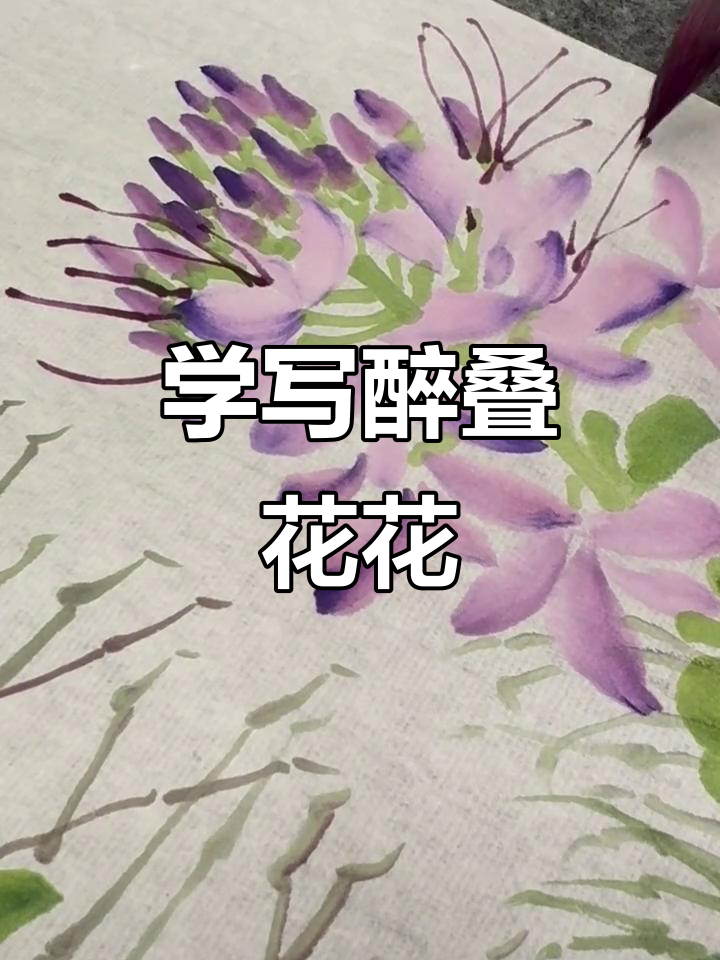 醉蝶花与油菜花的国画写意技巧,零基础也能轻松学会