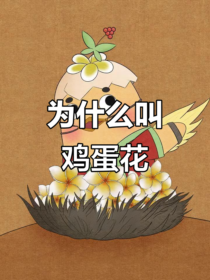 鸡蛋花为何与“蛋”有关？揭秘植物界的奇葩名字