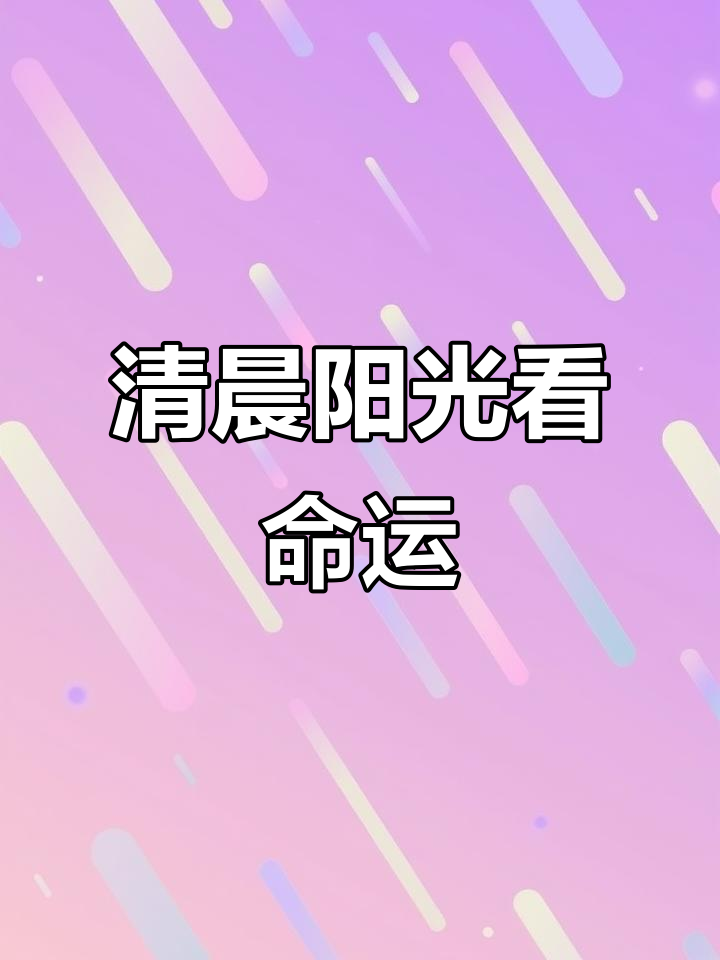 东北饺子与靠山的秘密,清晨阳光下的真实解读