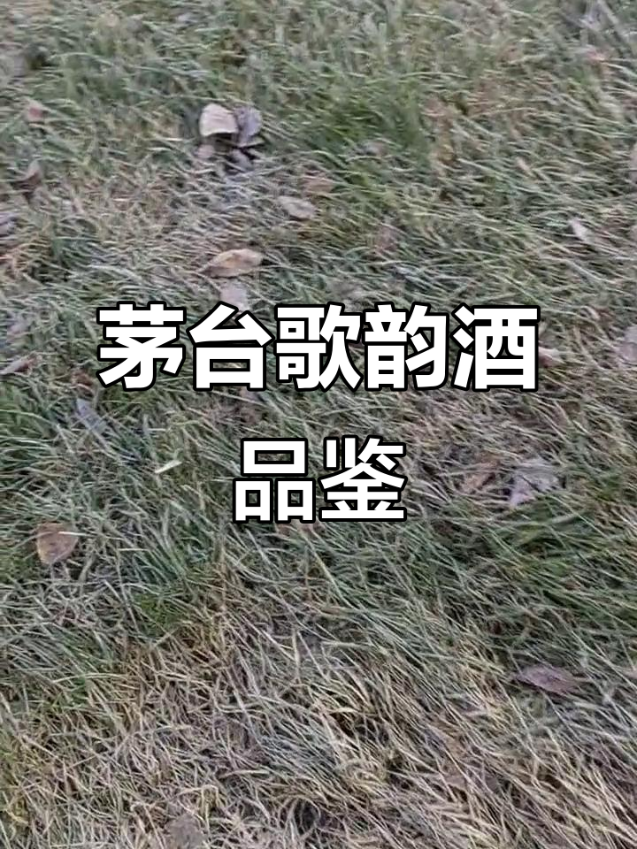 茅台歌韵葡萄酒:玖玖迎元,品味非凡