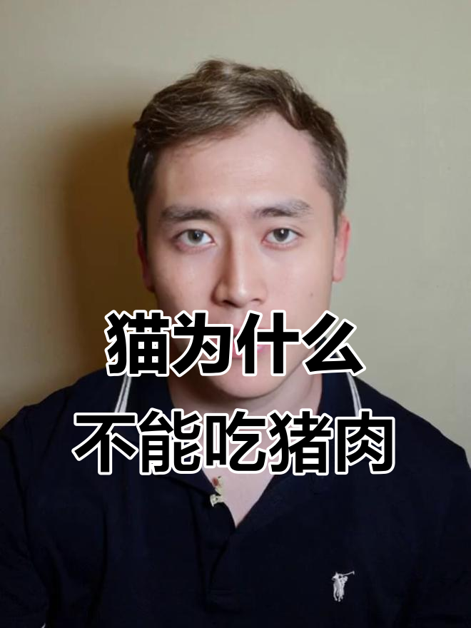 猫咪为何不吃猪肉?原来是因为这个原因