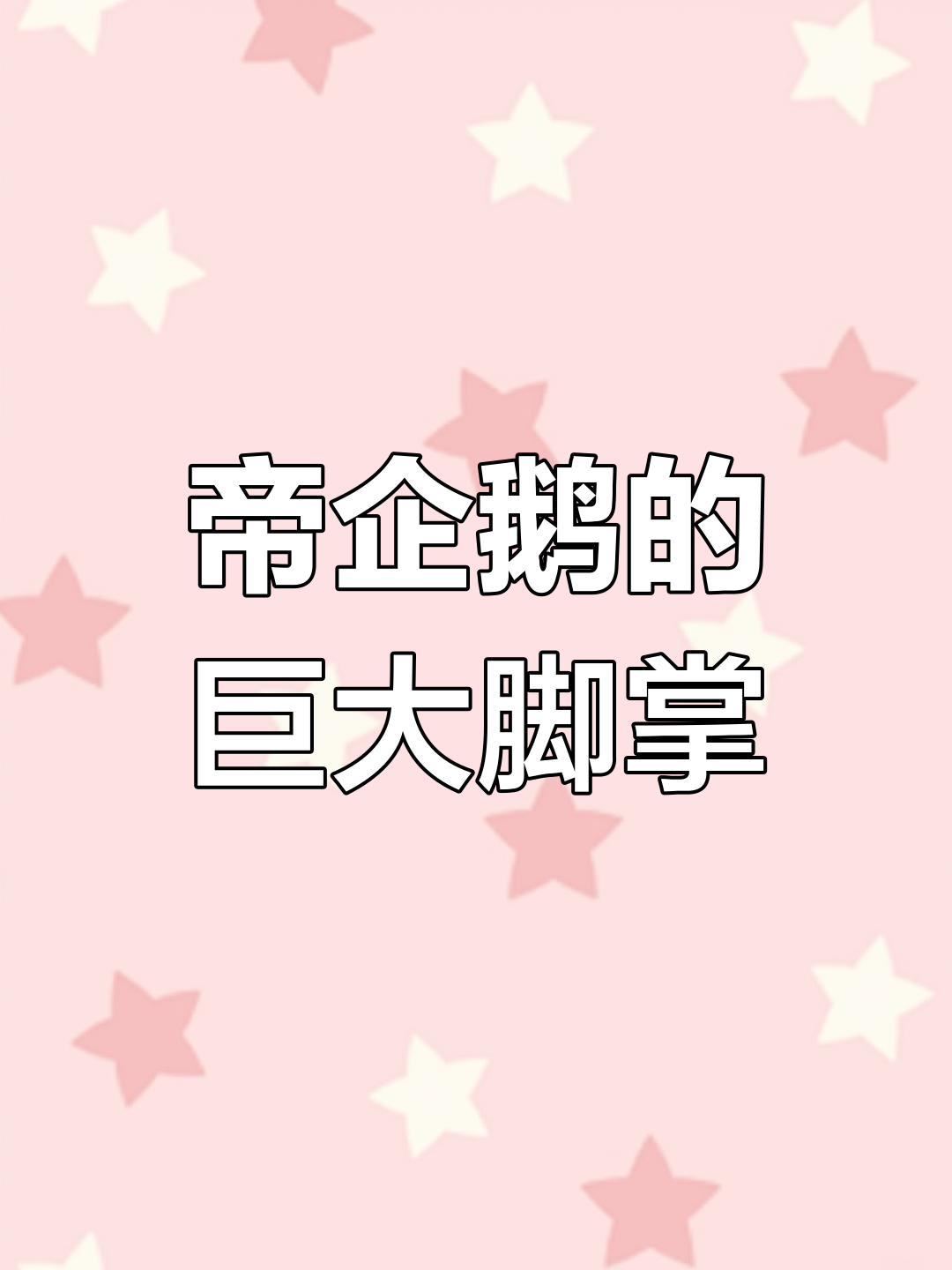 帝企鹅脚掌大揭秘,竟然这么大!