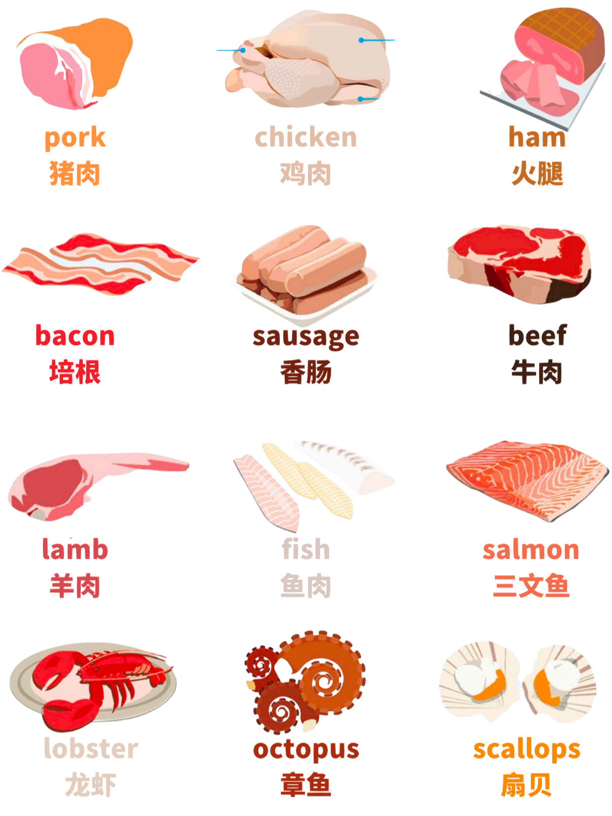 日常英文|各种各样的肉类(附音标)